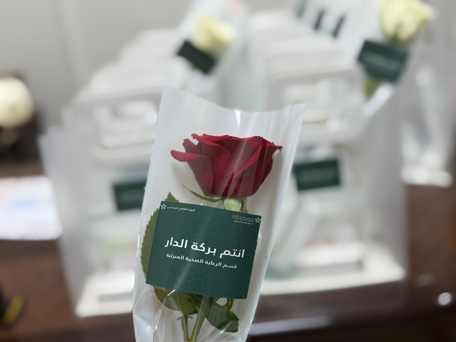 WhatsApp Image 2025-10-07 at 9.49.32 AM.jpeg