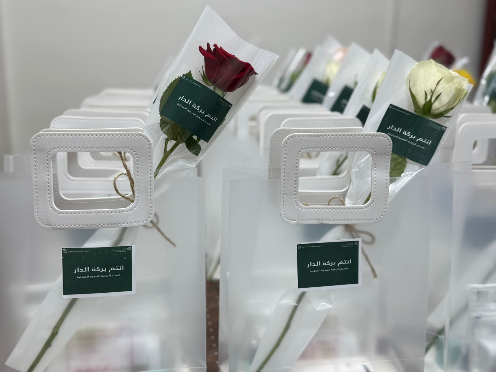 WhatsApp Image 2025-10-07 at 9.49.30 AM (1).jpeg